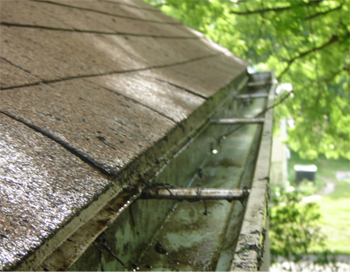 gutters after cleaning